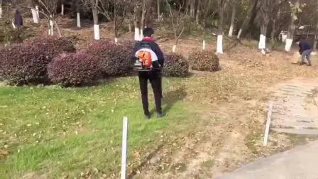 Portable Clean Blower Machine Garden Gasoline Blower